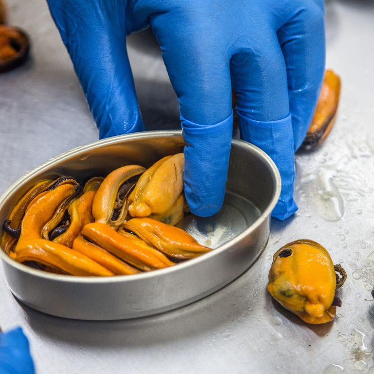 Dos personas dándose la mano